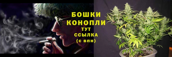 гидра Медвежьегорск