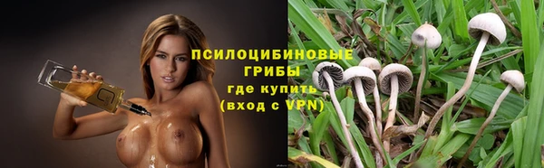 гидра Медвежьегорск