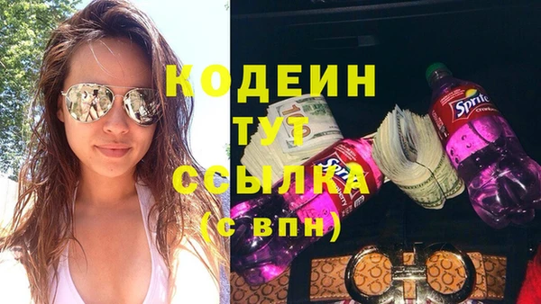 гидра Медвежьегорск