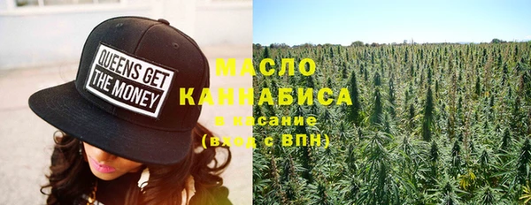 гидра Медвежьегорск