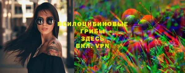 гидра Медвежьегорск
