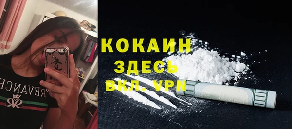 гидра Медвежьегорск